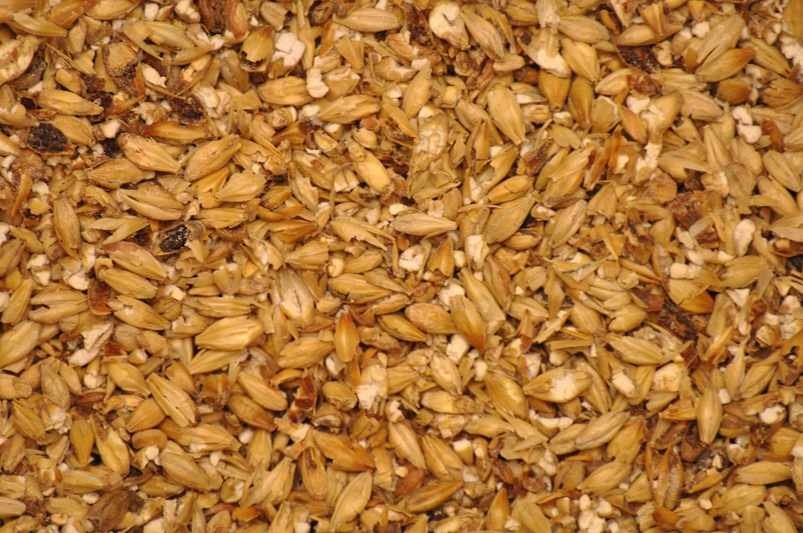 milled malted barley